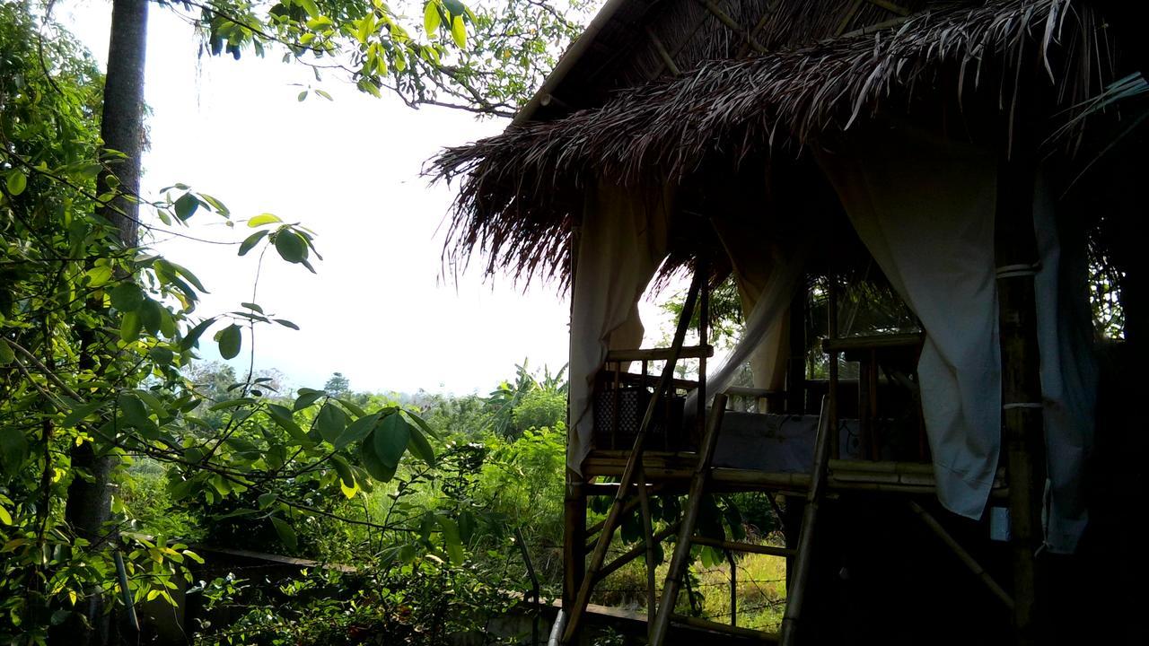 Your Home In Mae Rim Ban Muang Pha Exteriör bild