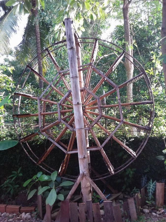 Your Home In Mae Rim Ban Muang Pha Exteriör bild