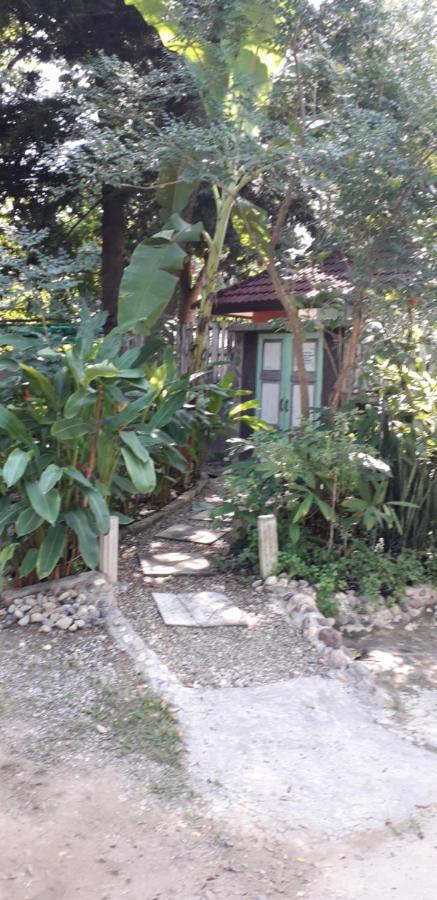 Your Home In Mae Rim Ban Muang Pha Exteriör bild
